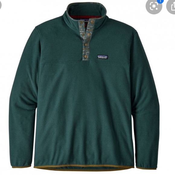 Patagonia Other - Men's Patagonia Micro D Snap-T Pullover